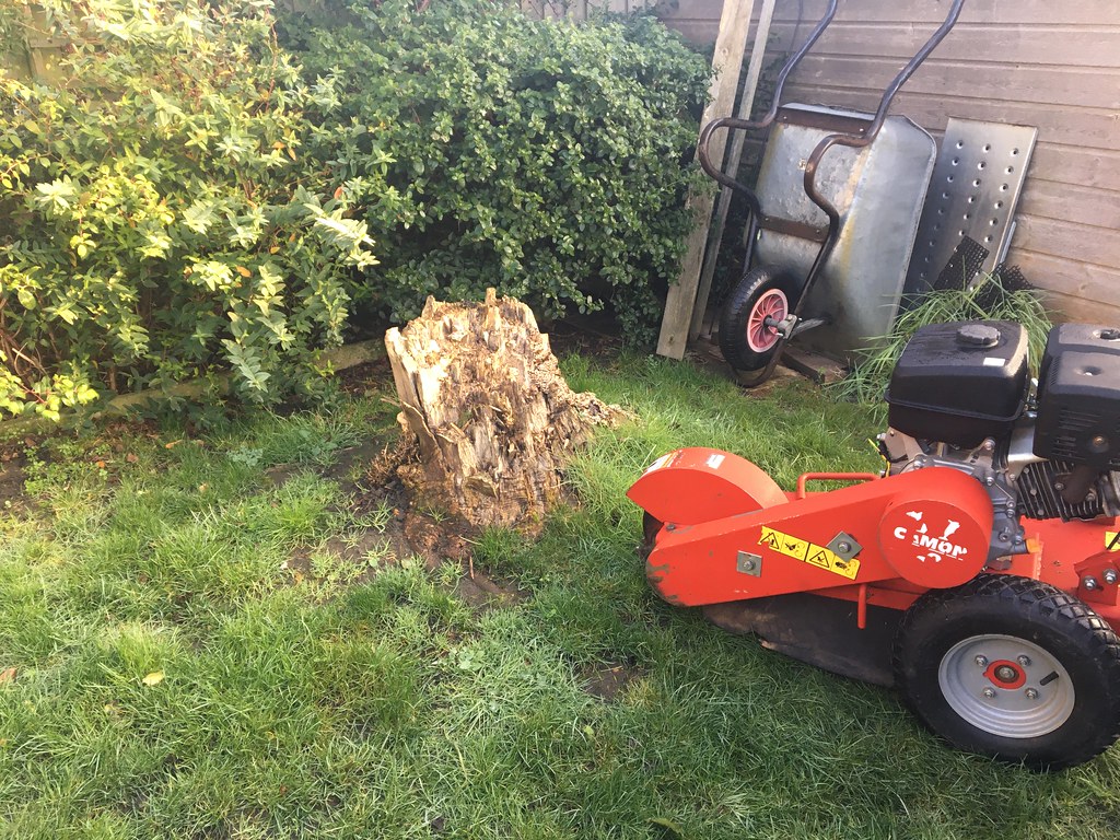 Stump Grinding