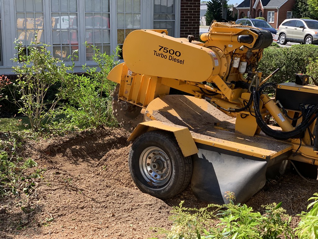 Stump Grinding